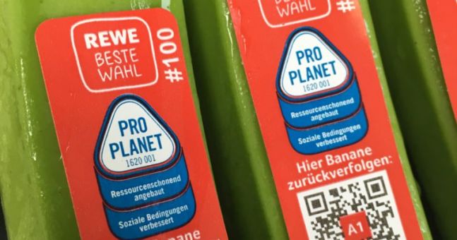 Rewe Enables Traceability Of Bananas Back To The Producer Esm Magazine