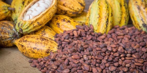 Ghana Sells 200,000 Tonnes Of Cocoa With Farmer Premium