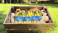 Fyffes Receives €180m From Sumimoto For Debt Reduction: Reports