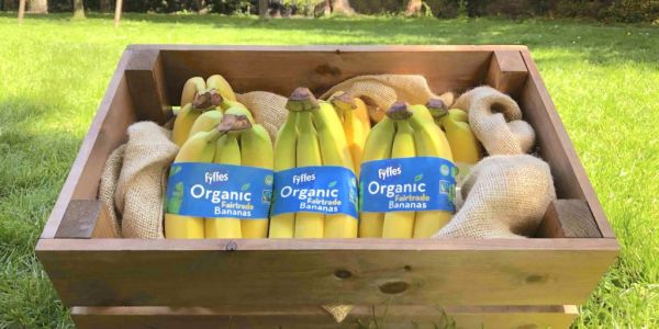 Fyffes Receives €180m From Sumimoto For Debt Reduction: Reports