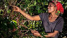 Nespresso Launches 'Reviving Origins' Programme To Assist Coffee Farmers
