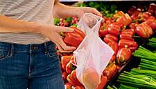 Aldi Nord and Aldi Süd Abolish Single-Use Plastic Bags