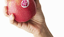 Pink Lady® Posts Positive Results In A Difficult Market