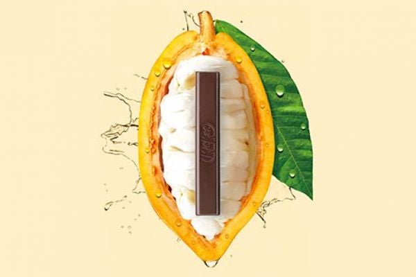 Nestlé Introduces Sugar-Free Dark Chocolate Made Of Pure Cocoa
