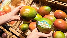 Spar Austria Introduces Laser Labelling For Organic Mangoes