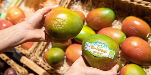 Spar Austria Introduces Laser Labelling For Organic Mangoes