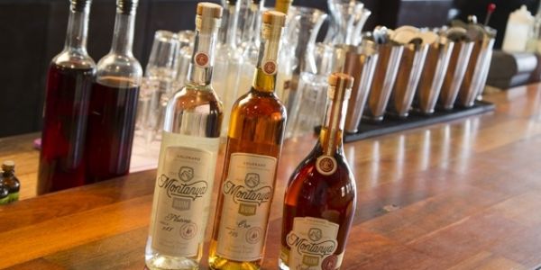 Constellation Brands Acquires Minority Stake In Montanya Distillers