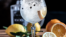 British Gin Sales On The Rise: WSTA