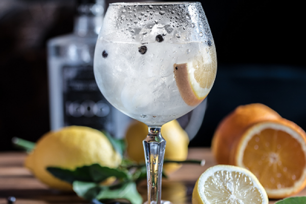 British Gin Sales On The Rise: WSTA