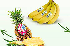 Penny To Introduce Traceable Pineapples And Organic Bananas
