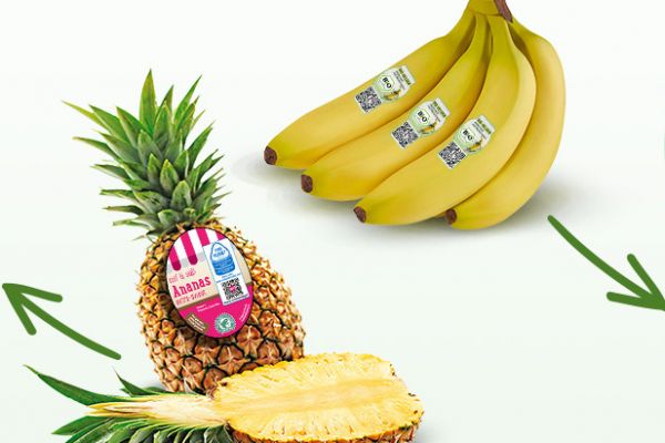 Penny To Introduce Traceable Pineapples And Organic Bananas