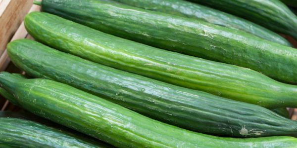 Rewe Group Pledges To Offer 'Unpackaged' Cucumbers