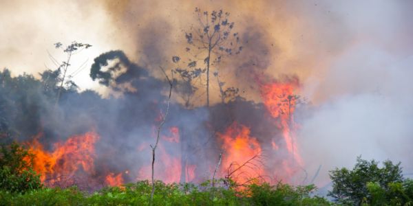 LVMH Backs G7 Pledge To Combat Amazon Fires With Package Of Its Own