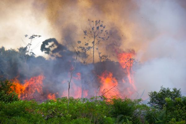 LVMH Backs G7 Pledge To Combat Amazon Fires With Package Of Its Own