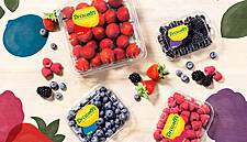 Driscoll’s To Showcase The Latest Innovation At Fruit Attraction 2019