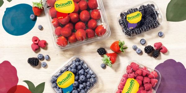 Driscoll’s To Showcase The Latest Innovation At Fruit Attraction 2019
