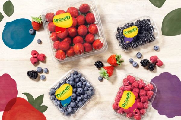 Driscoll’s To Showcase The Latest Innovation At Fruit Attraction 2019
