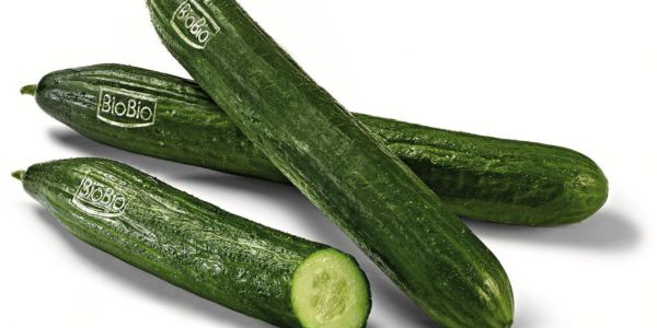 Netto Marken-Discount To Switch To Unpackaged Cucumbers