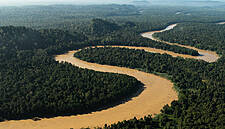 Nestlé Joins ‘One Planet Business For Biodiversity’ Coalition