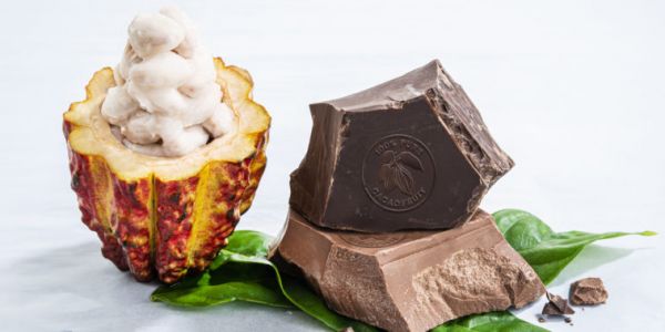 Barry Callebaut Launches Chocolate Made Of 100% Cacao Fruit