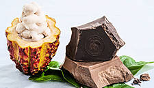 Barry Callebaut Launches Chocolate Made Of 100% Cacao Fruit