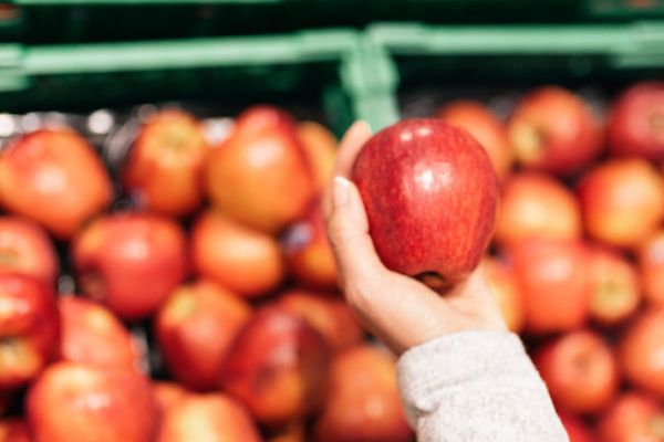 REWE To Pilot Test Sales Of Loose Organic Fruit And Vegetables