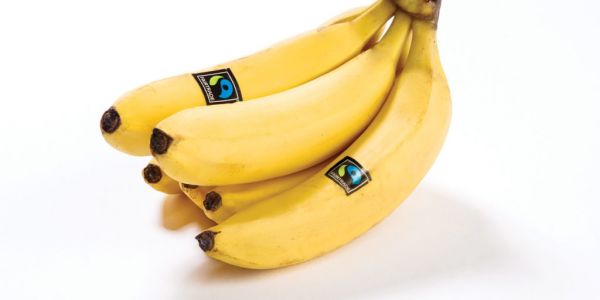 Lidl Belgium Commits To Fairtrade-Certified Bananas