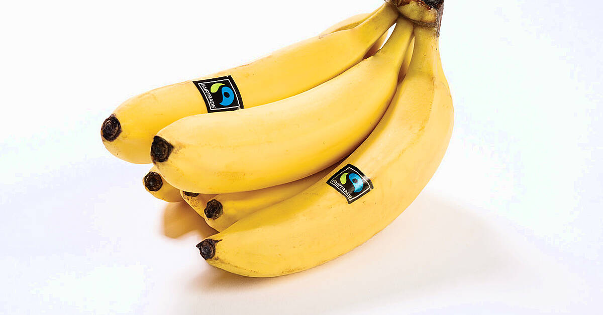 Carrefour Supports Fairtrade Banana Project | ESM Magazine