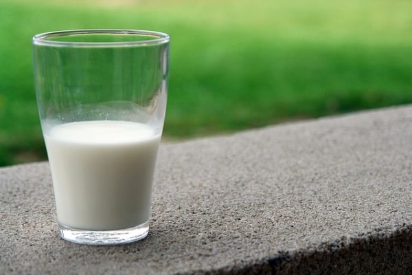 Milk And Yoghurt Record Strongest Growth In The Italian Organic Market