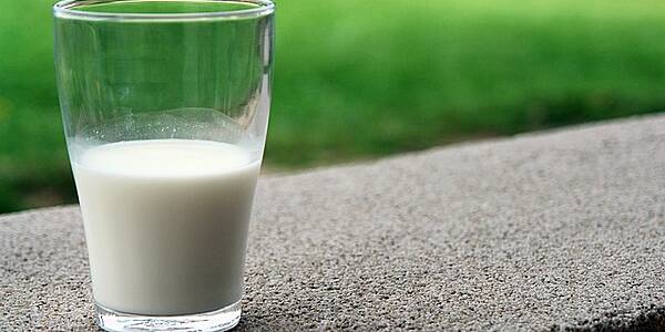 Milk And Yoghurt Record Strongest Growth In The Italian Organic Market