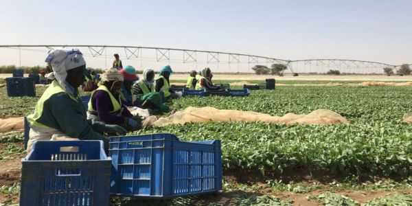 Waitrose & Partners Foundation Launches In Senegal And The Gambia