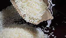 Summer Crop Sowing Lags In India On Slow Monsoon Progress