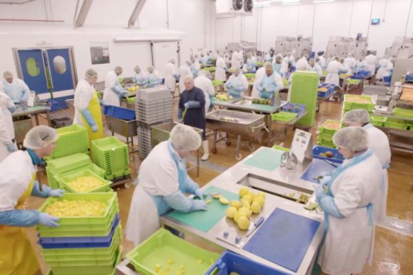 Bakkavor Proposes To Close Alresford Salads Factory