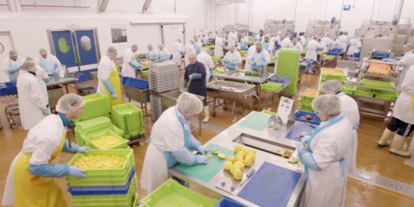 Bakkavor Proposes To Close Alresford Salads Factory