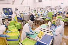 Bakkavor Group Sees ‘Encouraging Recovery’ In Sales