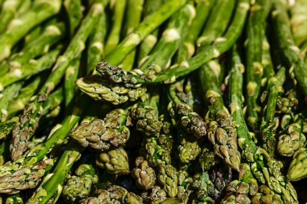 Brexit Crisis Tipped For British Asparagus As EU Seasonal Workers Stay Away