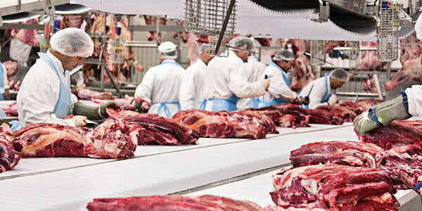 25 Brazil Meatpackers Authorised To Export To China