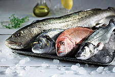 Paving The Way For Responsible Aquaculture In Greece And The Mediterranean