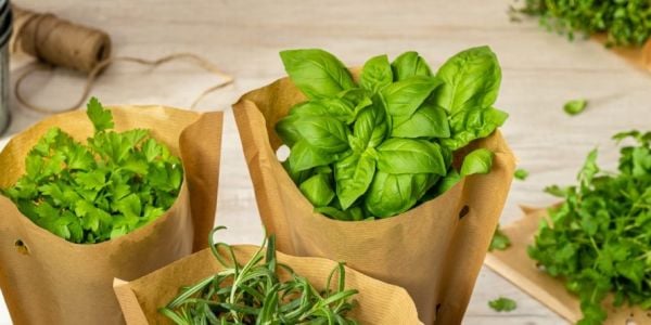 Asda Introduces Fresh Herbs In Sustainable Packaging