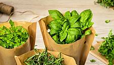 Asda Introduces Fresh Herbs In Sustainable Packaging