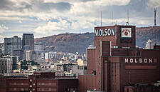 Molson Coors To Launch Coca-Cola's First Alcoholic Beverage In The US