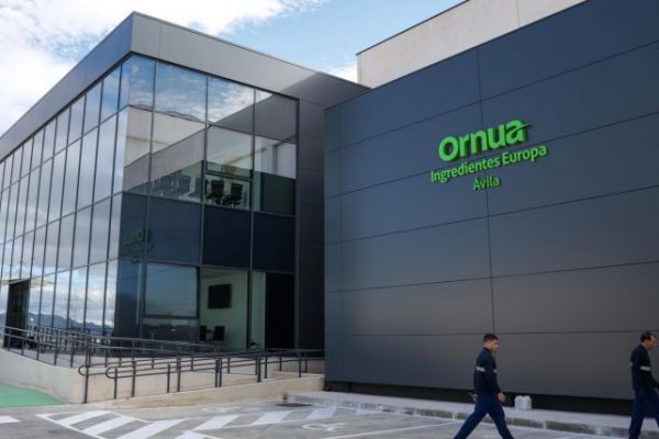 Ornua Ingredients Europe Partners With Aymes International