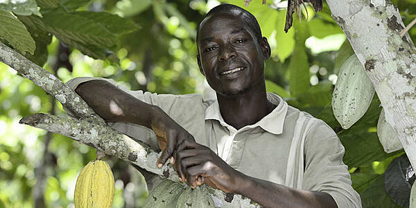 Rewe Group To Offer Living Income Premium To Cocoa Farmers