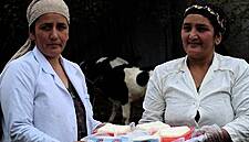 Loans From EBRD And EU Help Dairy Farmers In Tajikistan