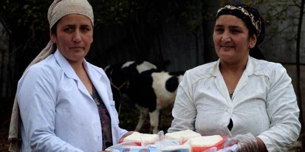 Loans From EBRD And EU Help Dairy Farmers In Tajikistan