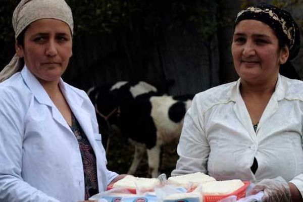 Loans From EBRD And EU Help Dairy Farmers In Tajikistan