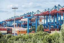 EU-Singapore Agreement Likely To Reap Benefits, Says Port Of Hamburg