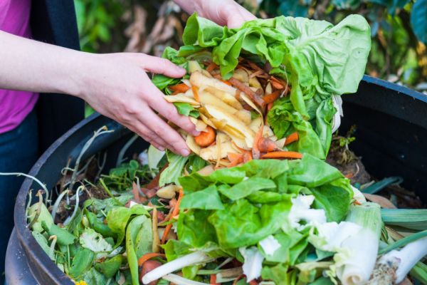 CGF Launches Coalition Of Action On Food Waste