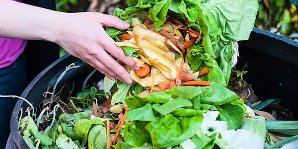 Food Waste In The EU Amounted To 127 Kilograms Per Person In 2020