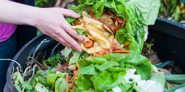 Malaysia, Israel, Greece Produce Most Food Waste On A Per-Capita Basis, Study Finds